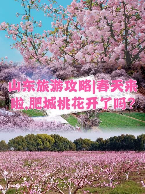 桃花境游戏攻略怎么通关快？10分钟速通玩法教学