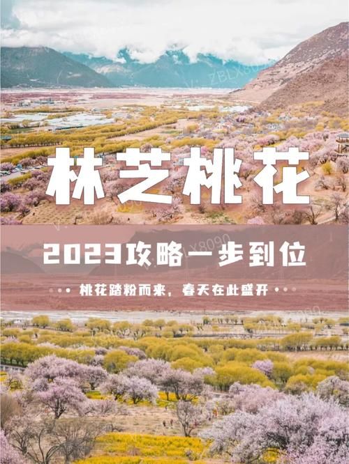 桃花境版本大全都有哪些？所有版本一次搞懂下载攻略