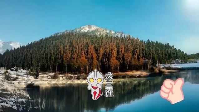 梅麻吕配送达人安卓体验(与同类游戏对比评测)