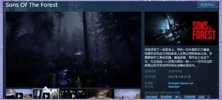 森林之子游戏下载安装失败咋解决（常见问题处理方案合集）