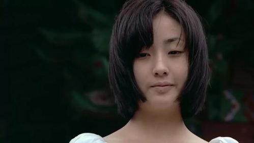 欲望回声如何下载出错了？这些解决方法马上解忧！