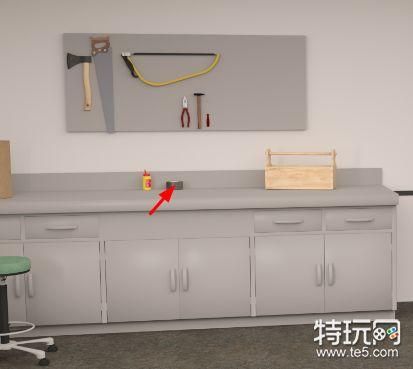 欲望回声版本大全有哪些版本？5个关键选择全解析！