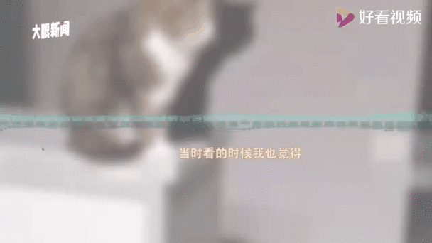 欺骗的阴影如何下载？最新安装教程+步骤解析！