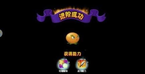母上攻略5重置版官网下载步骤？新手跟着做很轻松！