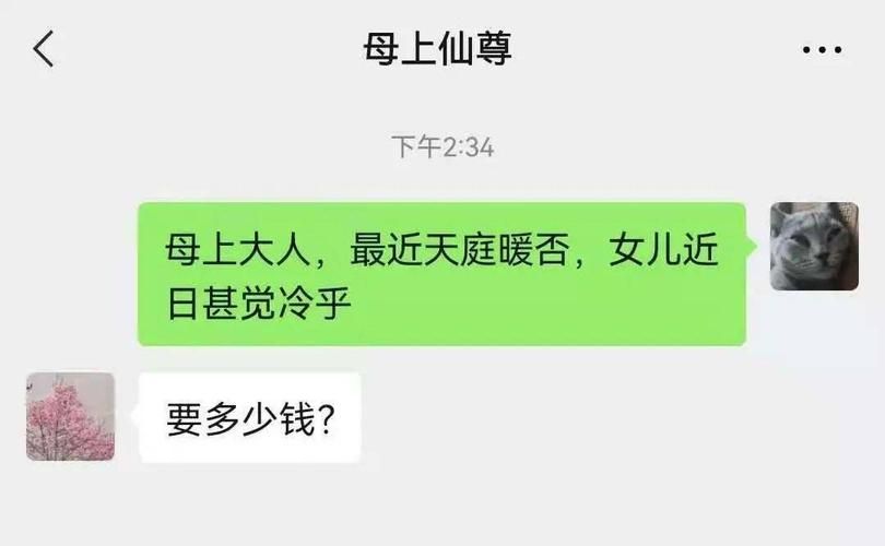 母上攻略5重置版版本大全攻略秘籍(新手必看通关技巧大全)