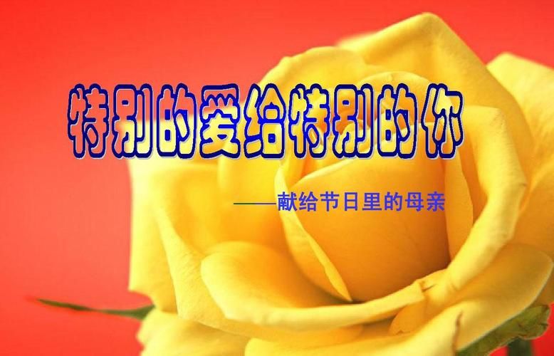 母亲的爱下载地址详细操作？新手轻松学会指南！