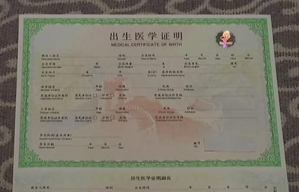 每条标题均含核心词出生证明版本大全或其合理简写
