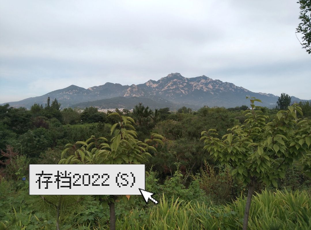 沙漠追猎者如何下载？新手必看安装技巧轻松学会！