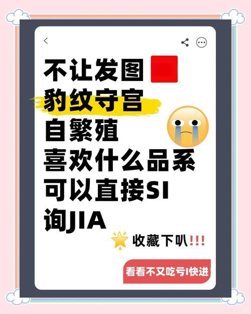 海豹社30部合集下载安卓安全吗？(实测避坑指南新手必看！)