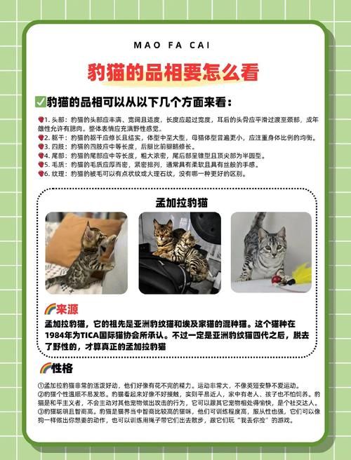 海豹社30部合集官方网站有哪些内容？30部作品超全介绍