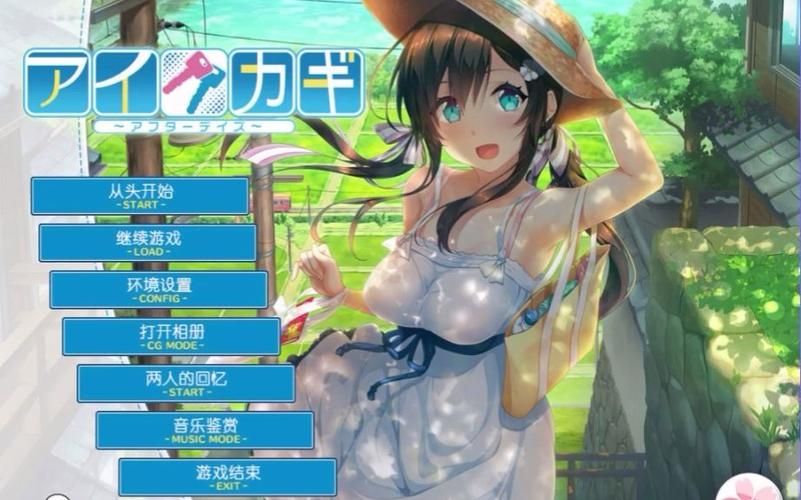海豹社30部合集游戏攻略哪家好？(资深玩家对比推荐攻略)