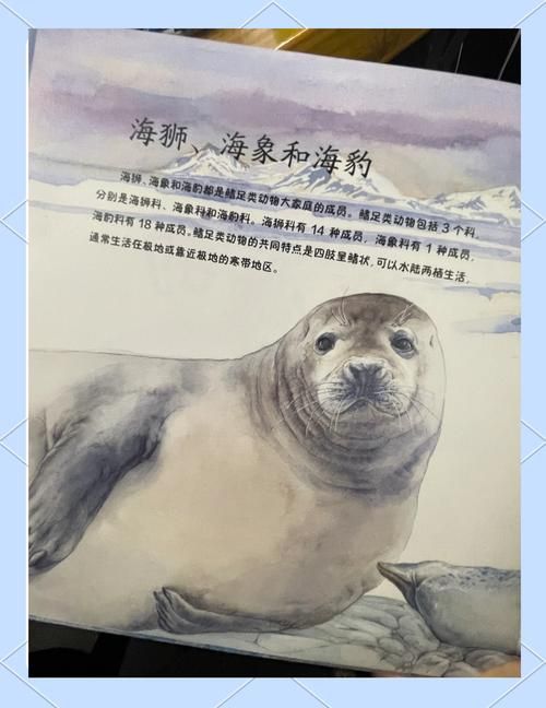 海豹社30部合集版本大全有什么内容？(30部作品全面介绍！)