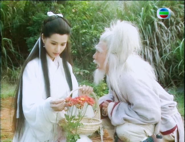 淑女广场杨过游戏哪个版本好？最新下载指南来了