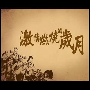 激情燃烧的岁月下载地址怎么找？（这里分享超简单方法）