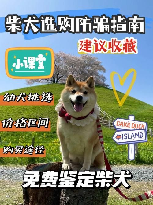 爱情大师游戏下载安全吗？防骗指南全揭秘！