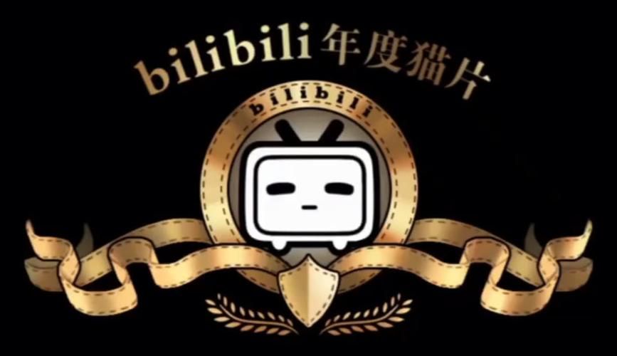 爱的初体验更新地址有哪些选择？最新入口汇总清单