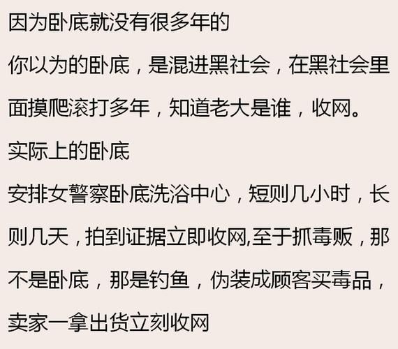 犯罪吸引力汉化版最新更新内容有哪些？三点重要改动揭晓！