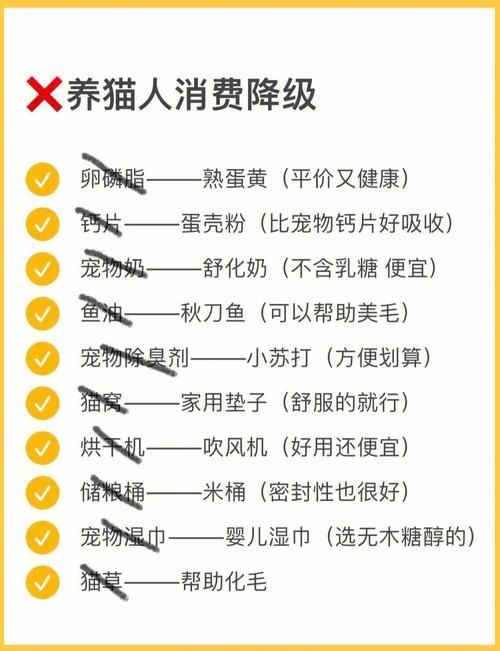 猫咪搬新家流程指南！当更新地址这些证要办好