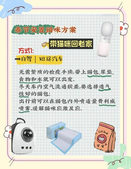 猫咪搬新家流程指南！当更新地址这些证要办好