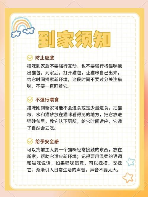 猫咪搬新家流程指南！当更新地址这些证要办好