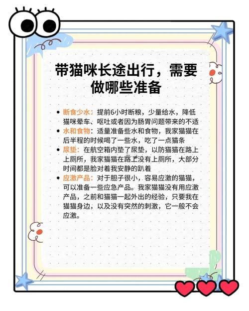 猫咪搬新家流程指南！当更新地址这些证要办好