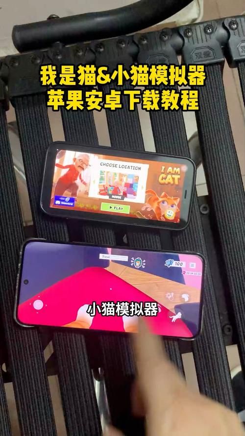 猫咪玩手机下载安卓？别急，这几步轻松搞定安装