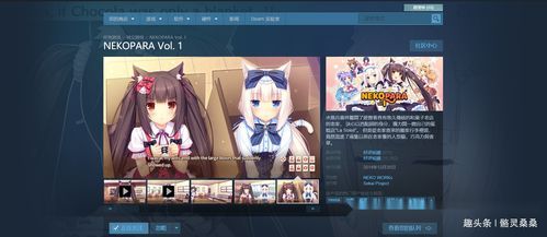 猫娘在哪下载游戏？资深玩家分享可靠渠道实测体验！