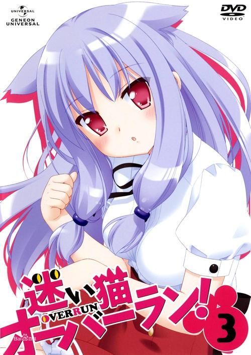 猫娘如何下载完整教程(新手也能快速学会操作步骤)