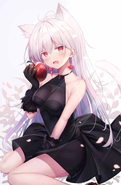 猫娘更新地址在哪找？手机电脑获取方法全搞定！