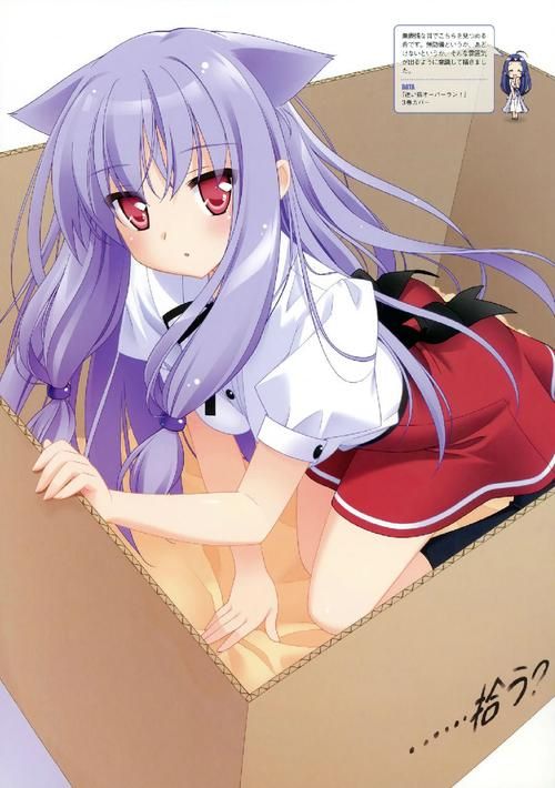 猫娘最新版本是多少？(2024最新更新亮点大揭秘！)