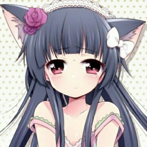 猫娘游戏介绍有哪些亮点？核心玩法独家解析