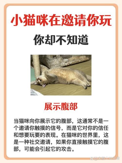 猫研社下载方法有哪些？（老用户分享避坑技巧）