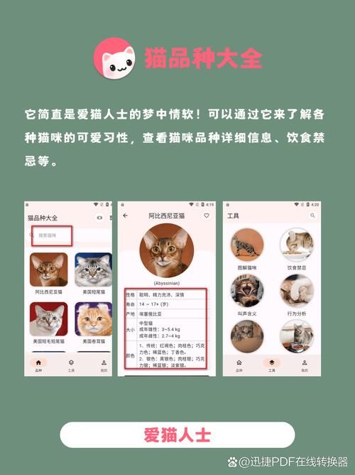 猫研社下载方法有哪些？（老用户分享避坑技巧）