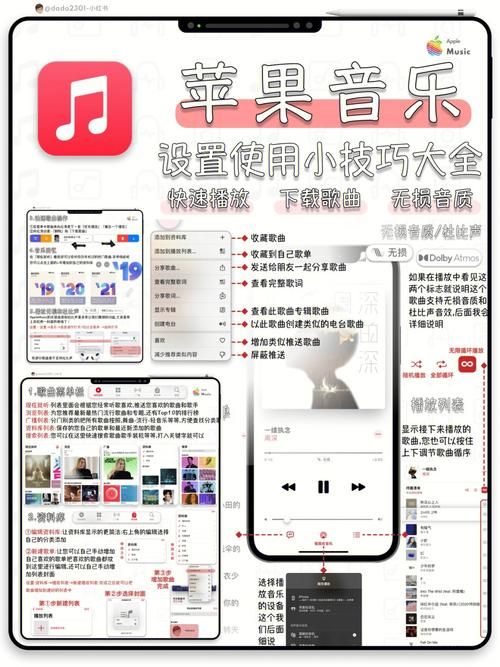 猫研社下载方法有哪些？（老用户分享避坑技巧）