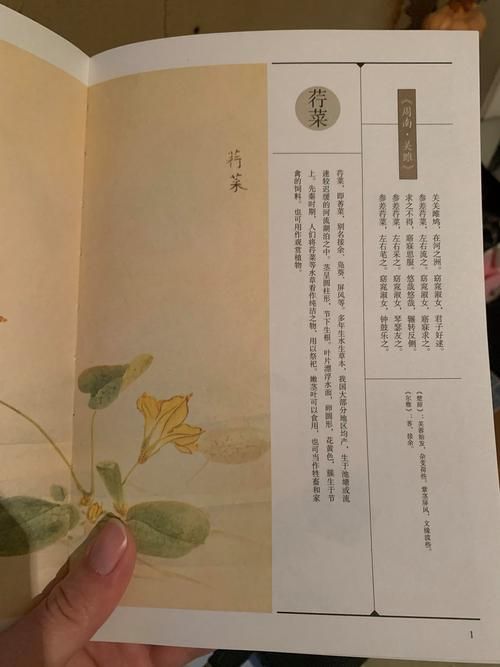 琴瑟完结安卓怎么下载安装？简单几步安卓手机轻松搞定