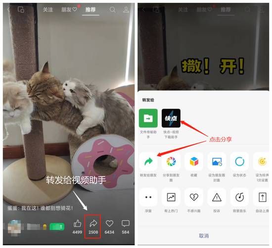 甄恬的冰激凌最新版本是多少？3个方法快速查询下载链接！
