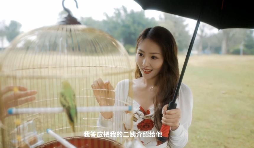 甜心AI追捕计划版本号怎么查询？一键获取方法！