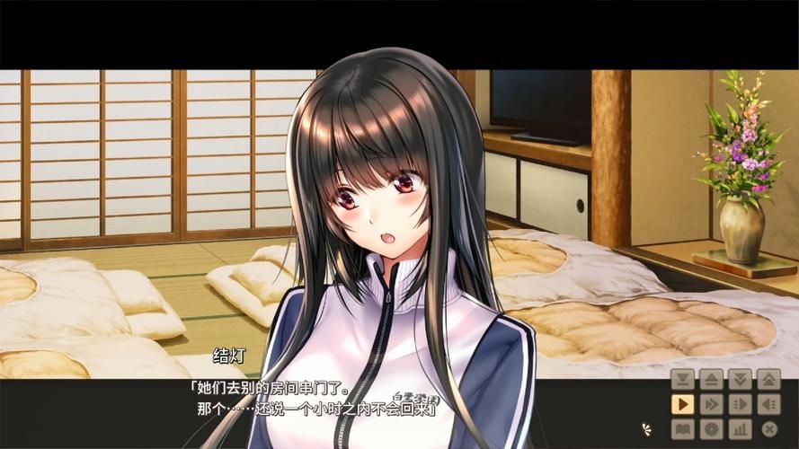 甜蜜女友2+游戏介绍攻略大全？高效通关秘籍分享