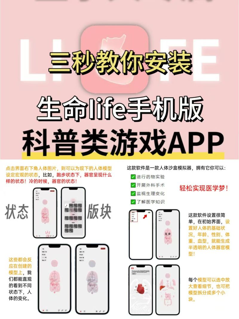 生命体v0.17d下载安卓常见问题全解析，新手必看！
