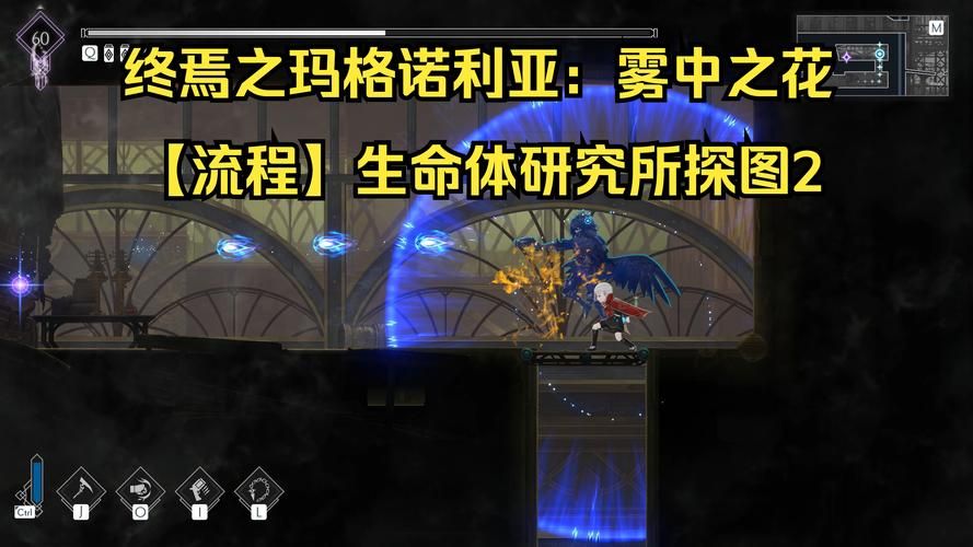 生命体v0.17d下载安卓常见问题全解析，新手必看！