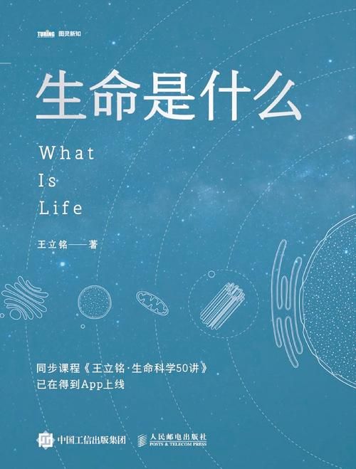 生命体V0.18b安卓汉化安全可靠吗？专家教你规避风险
