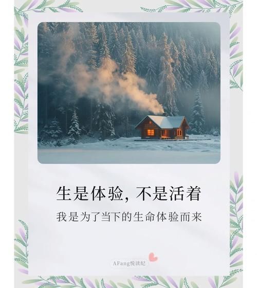 生命竞赛官方网站好用吗？用户真实体验分享来了！