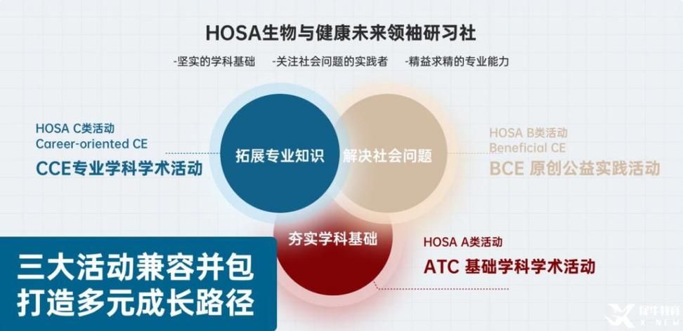 生命竞赛官网在哪？快速报名入口地址分享