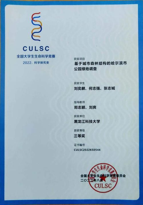 生命竞赛版本号哪里查？官方最新版获取通道公开