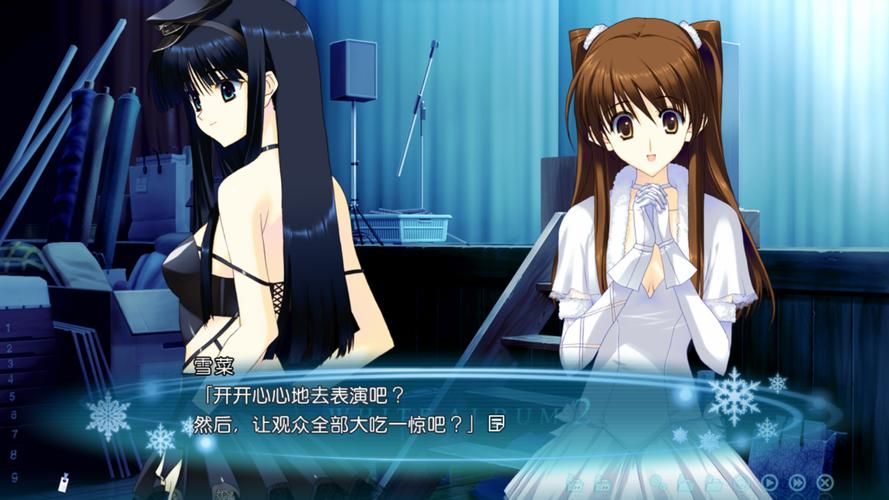 白色相簿合集游戏攻略资源如何找？(免费下载和安装教程)
