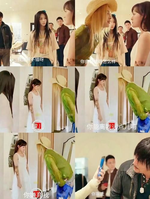 相亲攻略之宝贝别再选我了最新对比哪家强？(行内人推荐避坑版本)
