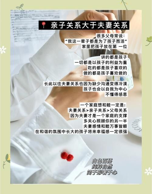 看懂家庭的秘密最新设定 你需要知道的关键背景