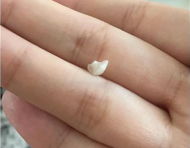 神医西门庆绅士游戏下载安全吗？(避坑指南一步到位)
