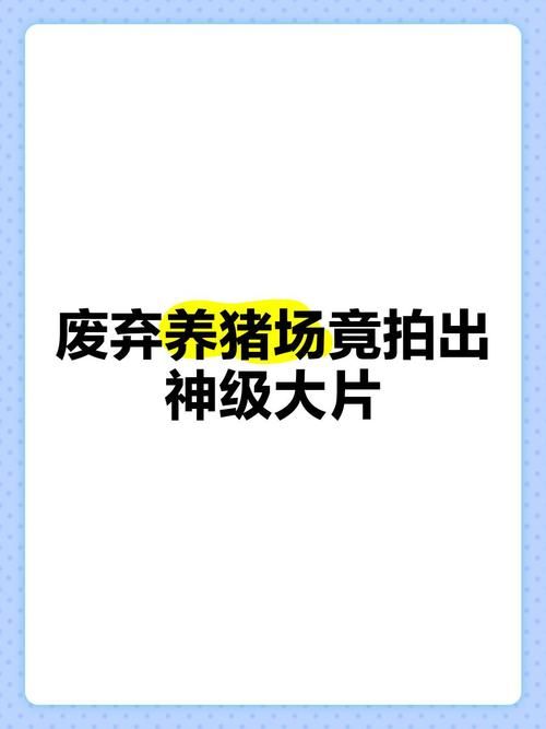 神的不在场安卓下载指南（安卓手机安装步骤详解）