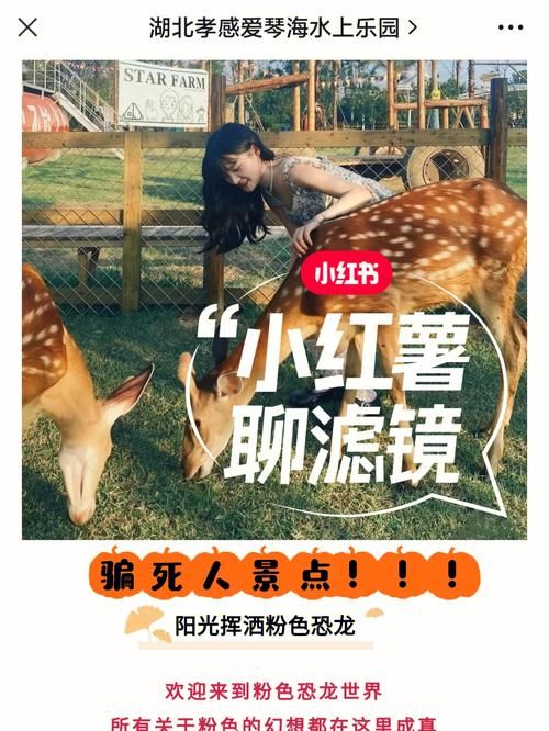 禁忌幻想官方正式版下载最新版怎么下载？简单五步教你免踩坑！